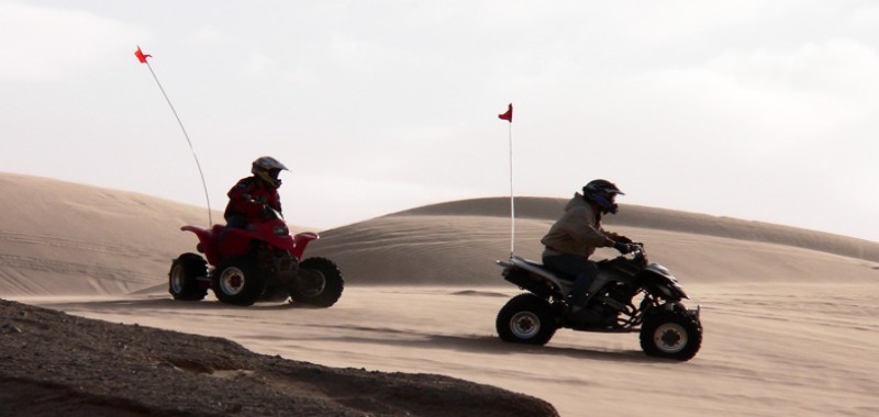 Ballade en Quad dans la palmeraie